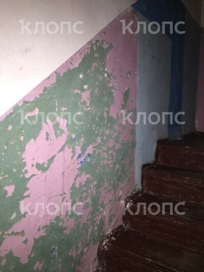 Состояние «обнять и плакать»: хит-парад самых убитых подъездов Калининграда и области, часть 4  - Новости Калининграда | Фото: очевидцы