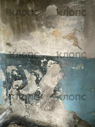 Состояние «обнять и плакать»: хит-парад самых убитых подъездов Калининграда и области, часть 4  - Новости Калининграда | Фото: очевидцы