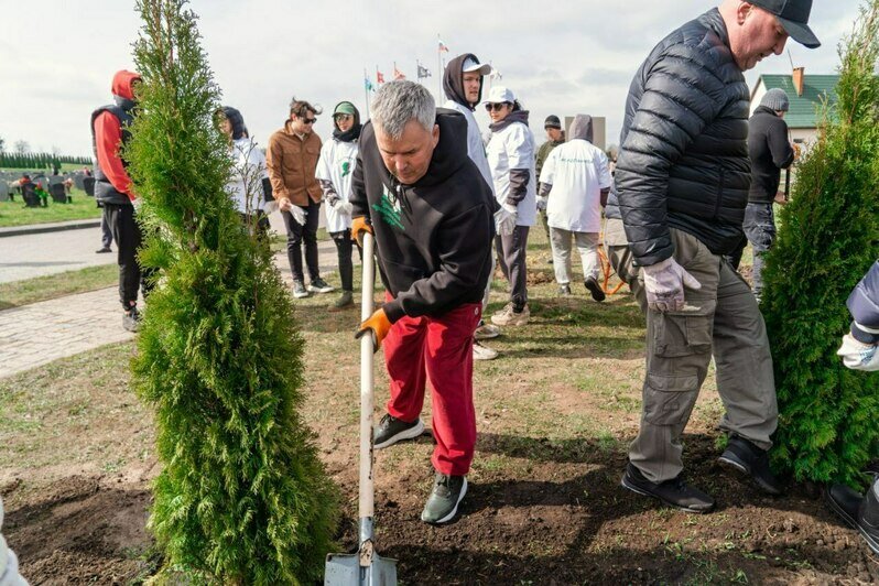 В посёлке Медведевка на мемориале «Курган Славы» высадили деревья  к 80-летию Великой Победы - Новости Калининграда | Фото: Минприроды Калининградской области