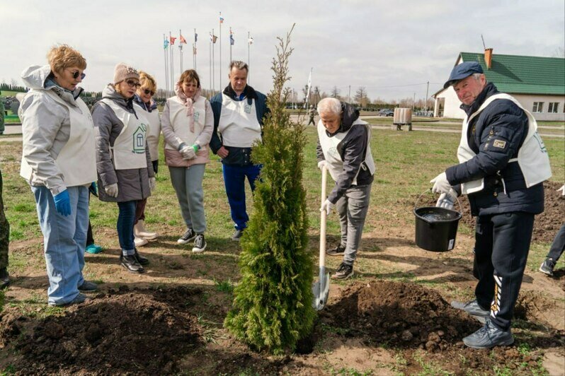 В посёлке Медведевка на мемориале «Курган Славы» высадили деревья  к 80-летию Великой Победы - Новости Калининграда | Фото: Минприроды Калининградской области