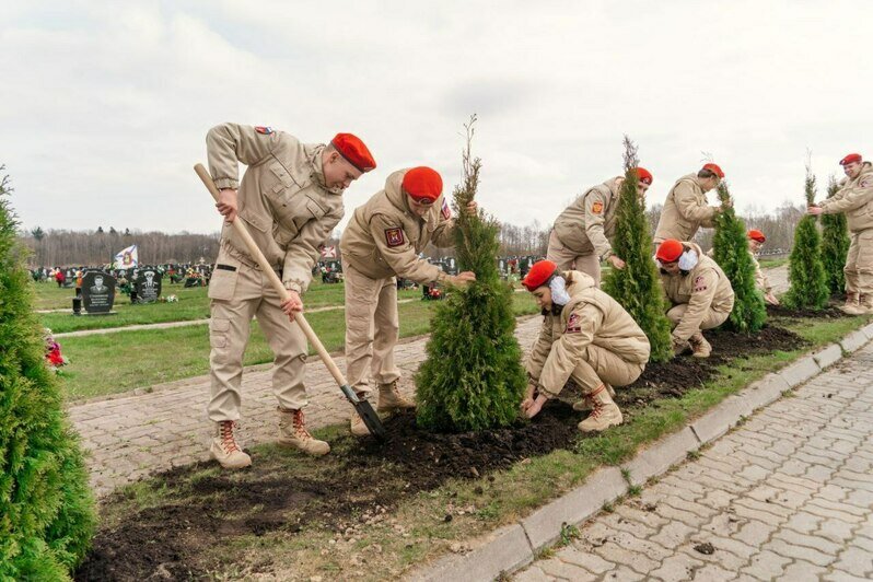 В посёлке Медведевка на мемориале «Курган Славы» высадили деревья  к 80-летию Великой Победы - Новости Калининграда | Фото: Минприроды Калининградской области