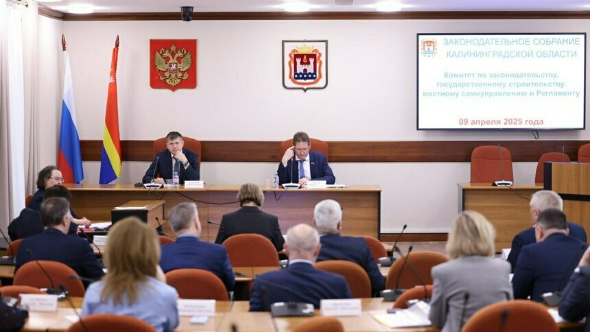 Калининградские депутаты поддержали поправки, которые защитят органы власти от хакерских атак   - Новости Калининграда | Фото: пресс-служба регионального парламента