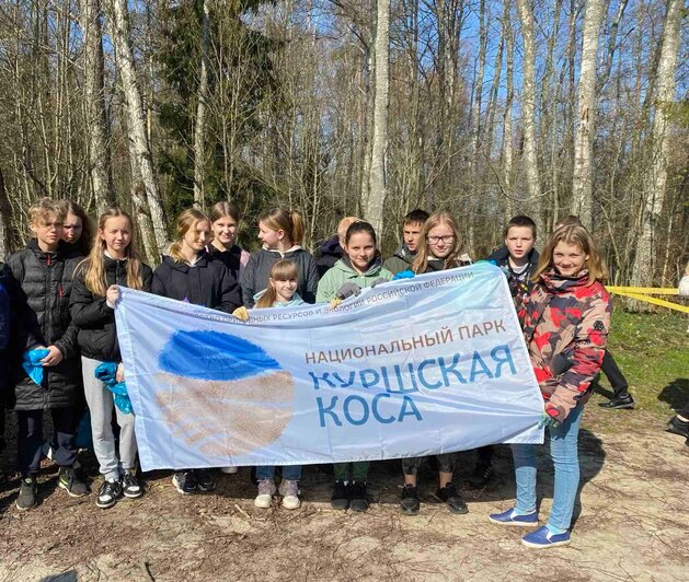 У «Куршской косы» помимо эмблемы появились флаг и вымпел  - Новости Калининграда | Фото: пресс-служба нацпарка «Куршская коса»