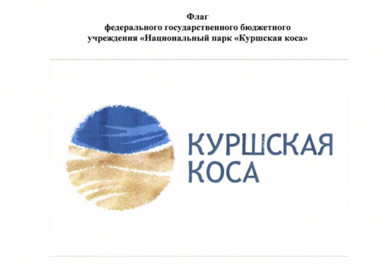 У «Куршской косы» помимо эмблемы появились флаг и вымпел  - Новости Калининграда | Фото: пресс-служба нацпарка «Куршская коса»