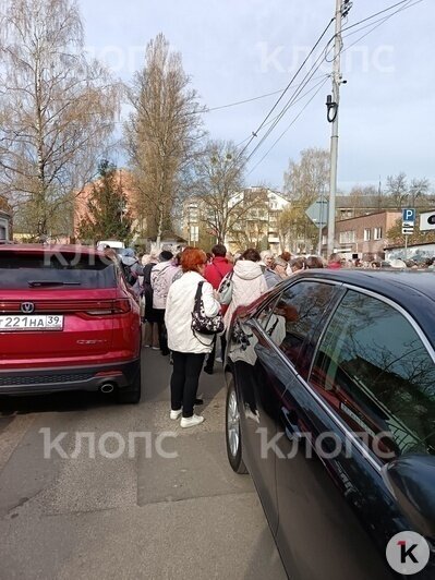 Пенсионеры штурмуют турфирму, предлагающую бесплатные путёвки по области | Фото: «Клопс»
