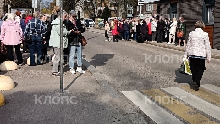 Страсти по авиасубсидиям, очередям на границе и картошке: события недели, которые обсуждали в Калининграде   - Новости Калининграда | Фото: архив «Клопс»