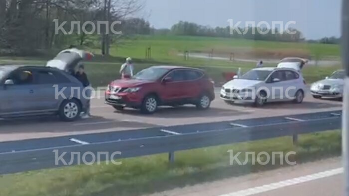 Страсти по авиасубсидиям, очередям на границе и картошке: события недели, которые обсуждали в Калининграде   - Новости Калининграда | Фото: очевидец
