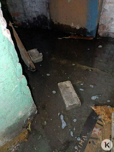 В Калининграде жильцы трёхэтажки ходят за водой к колонке из-за прорыва трубы в подвале (фото)    - Новости Калининграда | Фото: жильцы