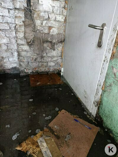 В Калининграде жильцы трёхэтажки ходят за водой к колонке из-за прорыва трубы в подвале (фото)    - Новости Калининграда | Фото: жильцы