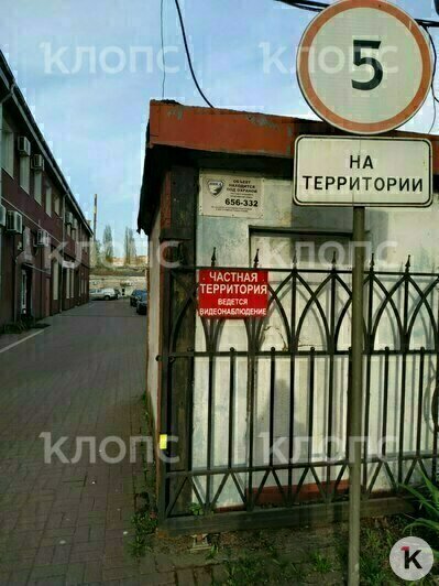 Собака жила на территории промзоны | Фото: Ольга