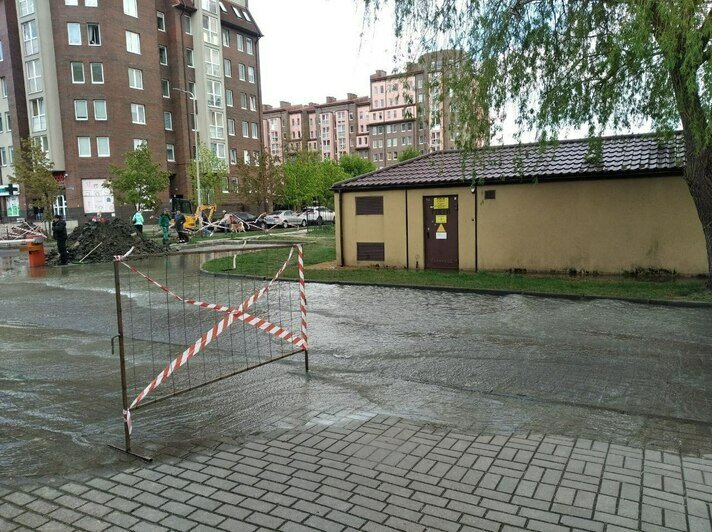 Прокладывали кабель — повредили водопровод: «Водоканал» сообщил о причинах аварии на Артиллерийской  (видео) - Новости Калининграда | Фото: областной «Водоканал»