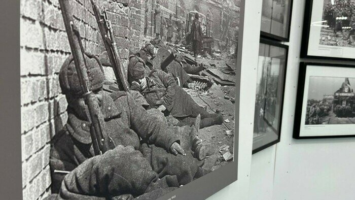 Калининградский аналог «Знамени над рейхстагом»: чем интересна фотовыставка в музее изобразительных искусств - Новости Калининграда | Фото: «Клопс»