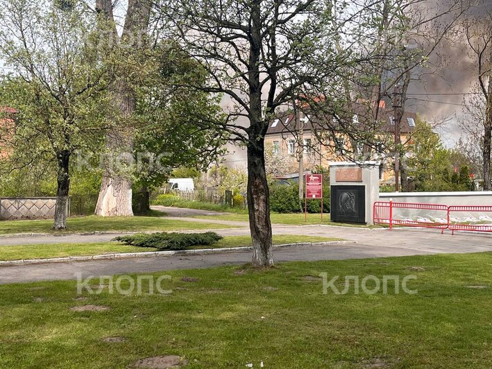 Во время визита Дятловой к мемориалу на Рабочей улице неизвестные подожгли камыш (фото, видео)  - Новости Калининграда | Фото: «Клопс»