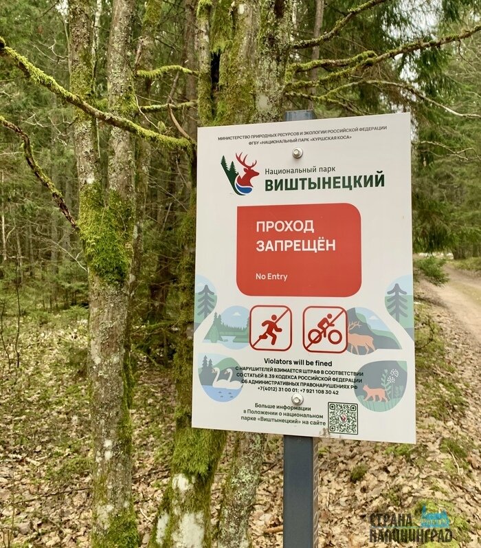На майских праздниках погулять по Виштынцу еще можно бесплатно | Фото: Оксана Сазонова