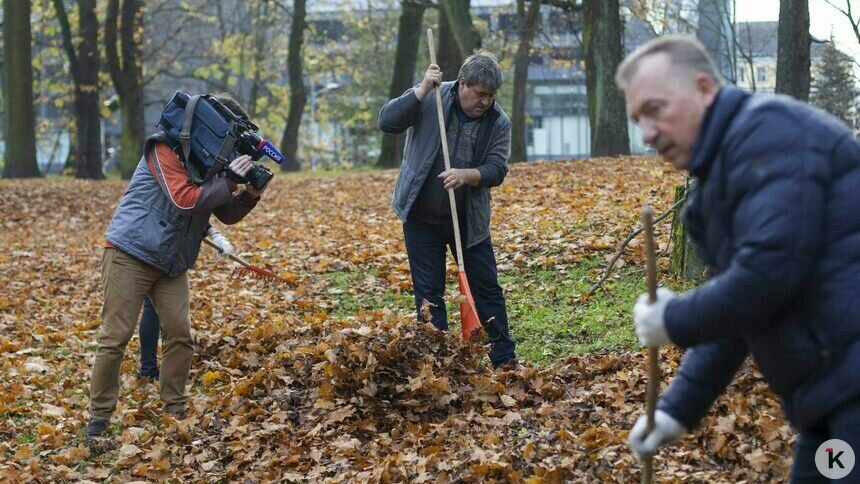 45% калининградцев выступают против обязательных субботников — опрос   - Новости Калининграда | Фото: архив «Клопс»