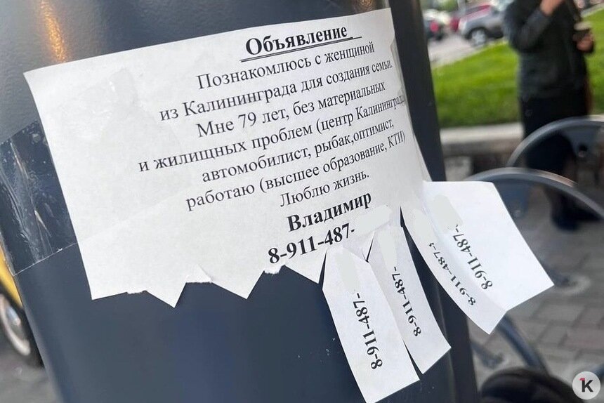 «На личном фронте без перемен»: калининградский пенсионер ищет даму сердца, клея объявления на столбы - Новости Калининграда | Фото: читатель «Клопс»