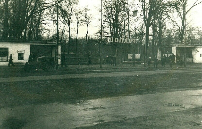 В Калининградском зоопарке отметили 90 лет с момента постройки центральной входной группы - Новости Калининграда | Фото: Калининградский зоопарк 
