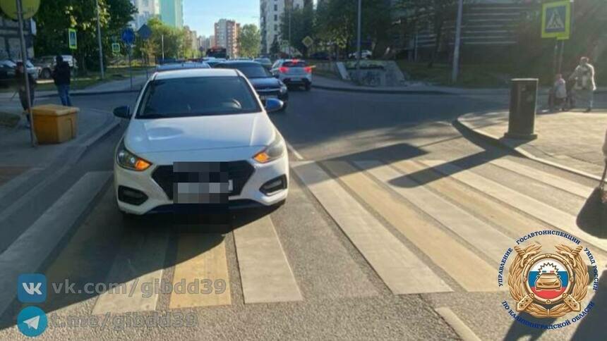 На Автомобильной водитель Hyundai сбил пешехода на зебре   - Новости Калининграда | Фото: Госавтоинспекция Калининградской области