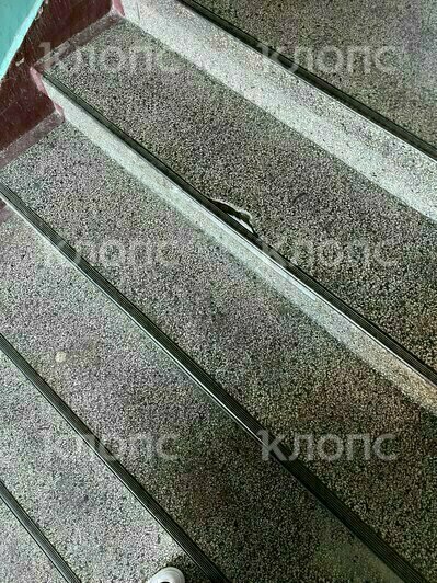 Хрущёвка из фильма ужасов: хит-парад самых убитых подъездов Калининграда и области, часть 5   - Новости Калининграда | Фото: очевидцы