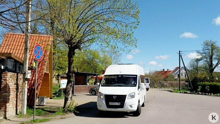 Из Калининграда на Куршскую косу запустили прямой автобус (расписание) - Новости Калининграда | Фото Михаила Лаврукайтиса