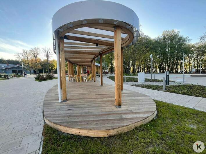 Не всё так радужно: в Пионерском открыли новый пешеходный маршрут (фоторепортаж) - Новости Калининграда | Фото: «Клопс»