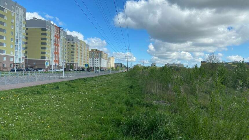 Место, где будет располагаться поликлиника  | Фото: «Клопс»