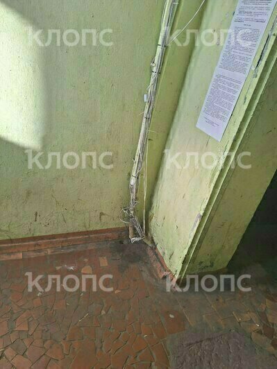 Хрущёвка из фильма ужасов: хит-парад самых убитых подъездов Калининграда и области, часть 5   - Новости Калининграда | Фото: очевидцы