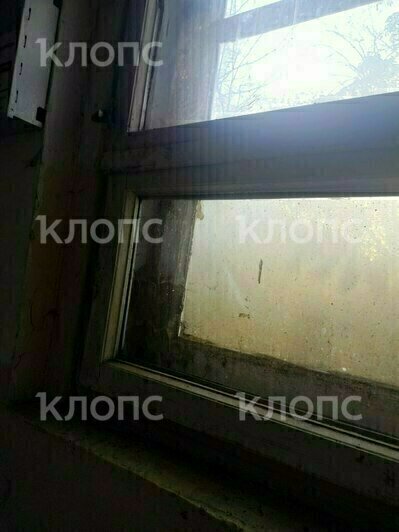 Хрущёвка из фильма ужасов: хит-парад самых убитых подъездов Калининграда и области, часть 5   - Новости Калининграда | Фото: очевидцы
