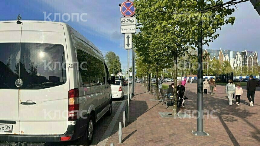 В Калининграде для автомобилистов сделали послабление по парковке возле Центрального рынка - Новости Калининграда | Фото: «Клопс»