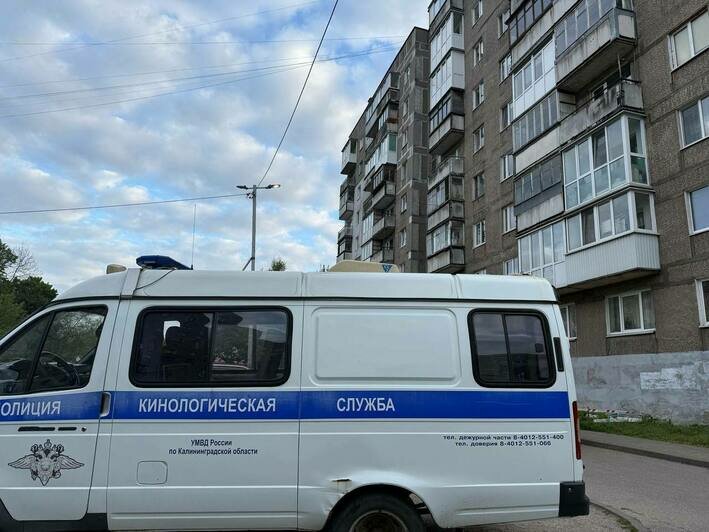 Место происшествия обследовал, в том чиле, кинолог | Фото: областное УМВД