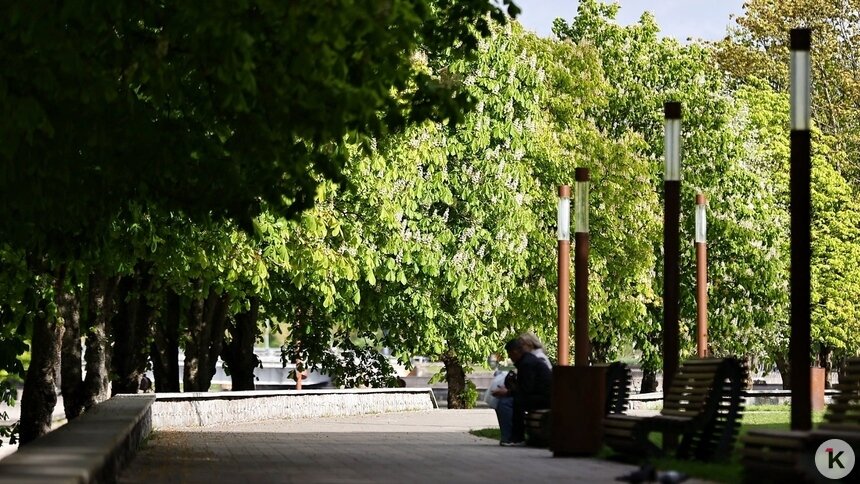 Северный ветер и переменная облачность: погода в Калининграде и области в субботу - Новости Калининграда | Фото: Александр Подгорчук / «Клопс»