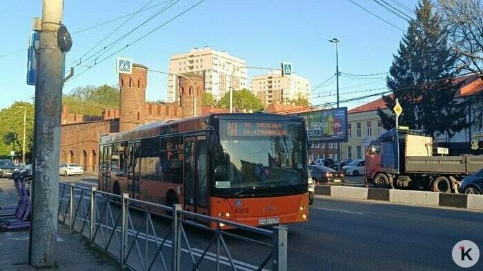 Сам себе контролёр: калининградцы заметили на остановке лишние автобусы - Новости Калининграда | Фото: «Клопс»