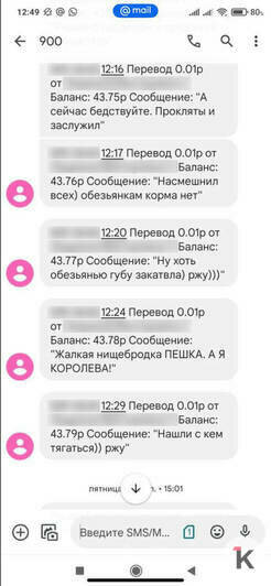 Лида доставала калининградку через приложения банка и в соцсетях | Фото: Анна