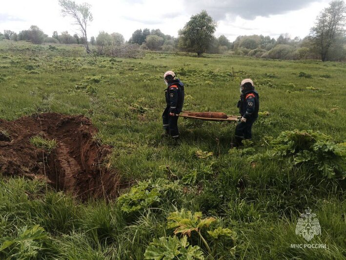 В Калининградской области нашли четыре авиабомбы времён Великой Отечественной войны  - Новости Калининграда | Фото: МЧС Калининградской области 
