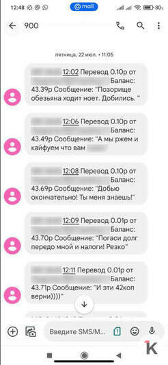 Лида доставала калининградку через приложения банка и в соцсетях | Фото: Анна