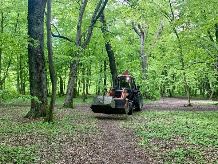 В Калининграде можно увидеть памятник со знаком прусского Ордена Чёрного орла | Фото: тг-канал Дирекции ландшафтных парков Калининграда