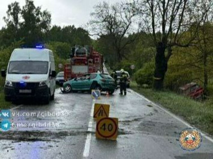 Под Балтийском Peugeot пошёл на обгон двух автомобилей и врезался в дерево — Госавтоинспекция  - Новости Калининграда | Фото: Госавтоинспекция Калининградской области