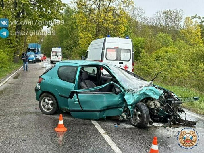 Под Балтийском Peugeot пошёл на обгон двух автомобилей и врезался в дерево — Госавтоинспекция  - Новости Калининграда | Фото: Госавтоинспекция Калининградской области