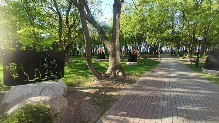 Что случилось в Калининградской области: главное на 15 мая - Новости Калининграда | Фото: Сергей