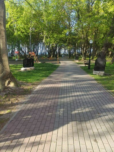 В парке Пионерского появились странные формы малой архитектуры, местные посчитали их надгробиями (фото) - Новости Калининграда | Фото читателя Сергея