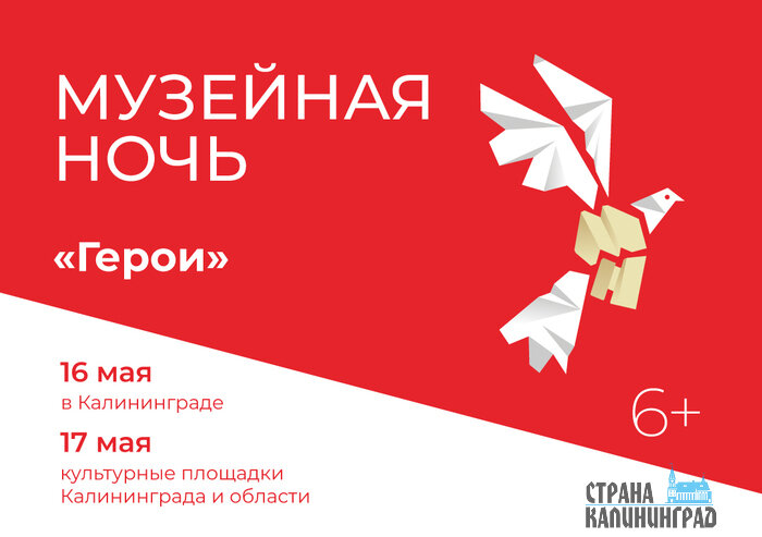 Музейная ночь и субботник в замке: чем заняться на выходных в Калининграде и области | Фото: пресс-служба Фестивальной дирекции