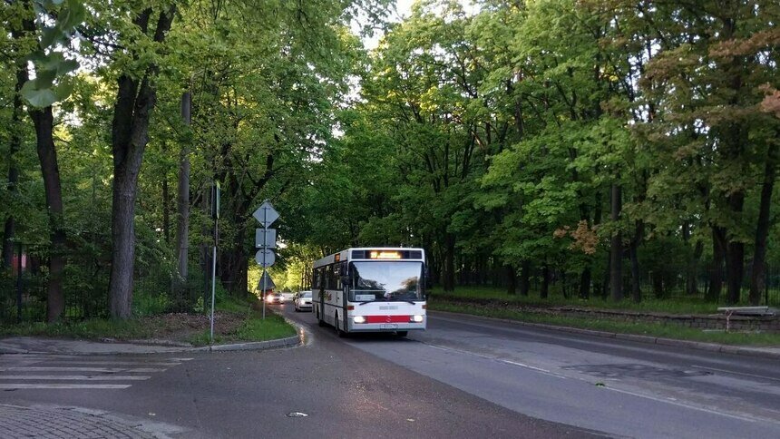 На нескольких улицах Калининграда автобусы внезапно поменяли маршруты - Новости Калининграда | Фото Михаила Лаврукайтиса
