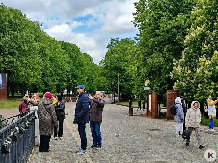 «Не хотим по жаре шататься»: что думают туристы о майских холодах в Калининграде (фоторепортаж) - Новости Калининграда | Фото: «Клопс»