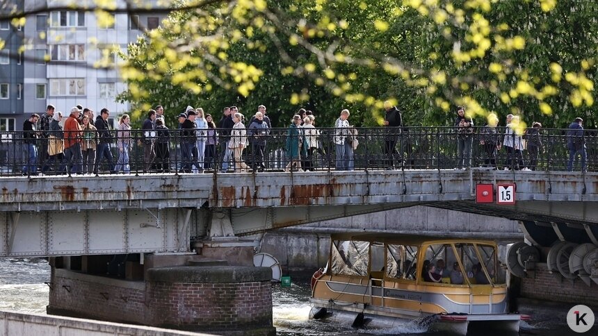 «После заката должно проясниться»: погода в Калининграде и области в понедельник - Новости Калининграда | Фото: Александр Подгорчук / Архив «Клопс»