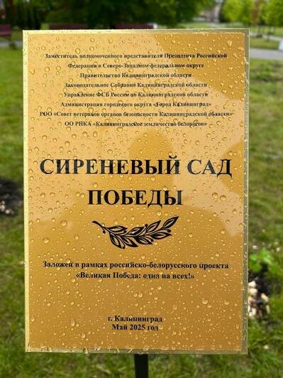 Привезли кусты из Гродно: в Калининграде заложили «Сиреневый сад Победы» в рамках совместного проекта России и Беларуси - Новости Калининграда | Фото: Минприроды Калининградской области