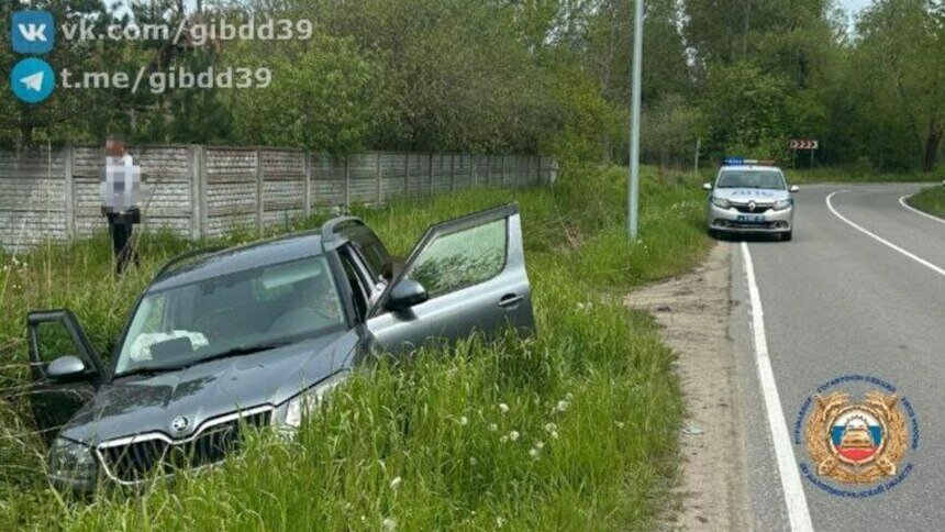 В Светлогорском районе легковушка вылетела с трассы в кювет, пострадал один человек - Новости Калининграда | Фото: ГАИ региона