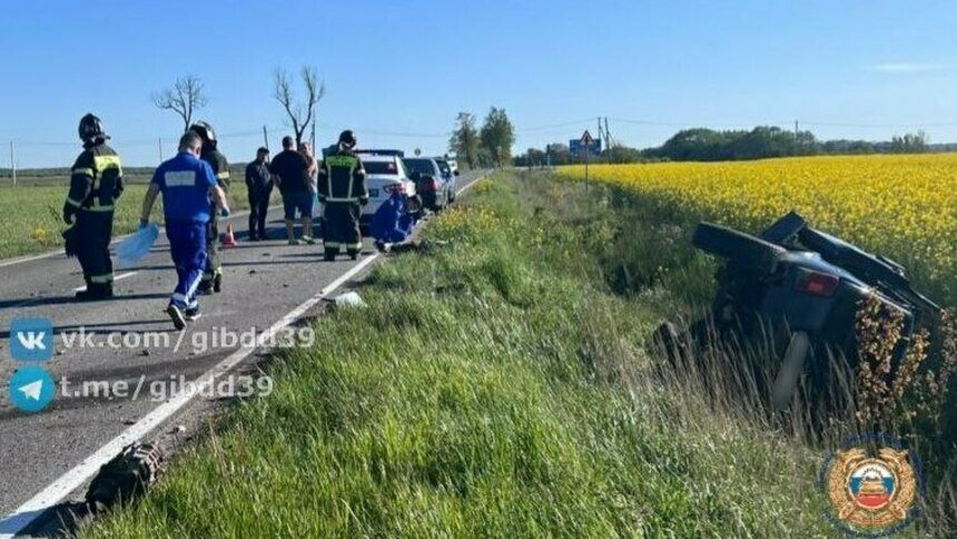Погиб на месте: под Гурьевском водитель наехал на придорожное дерево   - Новости Калининграда | Фото: Госавтоинспекция Калининградской области