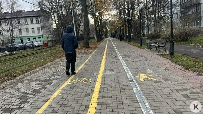 Конфликт по полосам: в Калининграде обновят разметку, но не правила поведения - Новости Калининграда | Фото: «Клопс»