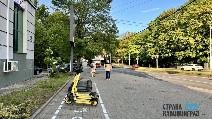 В пешеходных зонах скорость самокатов - не более 15 км/ч | Фото: Оксана Сазонова