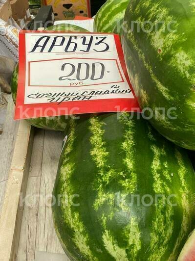 Из Ирана, Китая и Испании: «Клопс» попробовал майские арбузы и другую раннюю калининградскую экзотику (фото)   - Новости Калининграда | Фото: «Клопс»‎